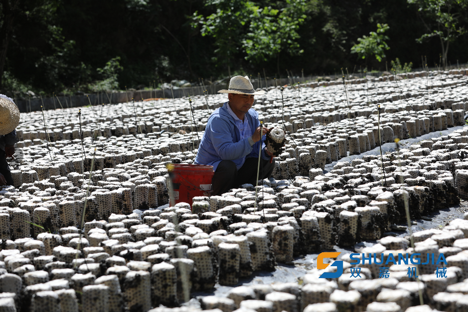 1652492500718944.png 15-46-33-59-283825.png