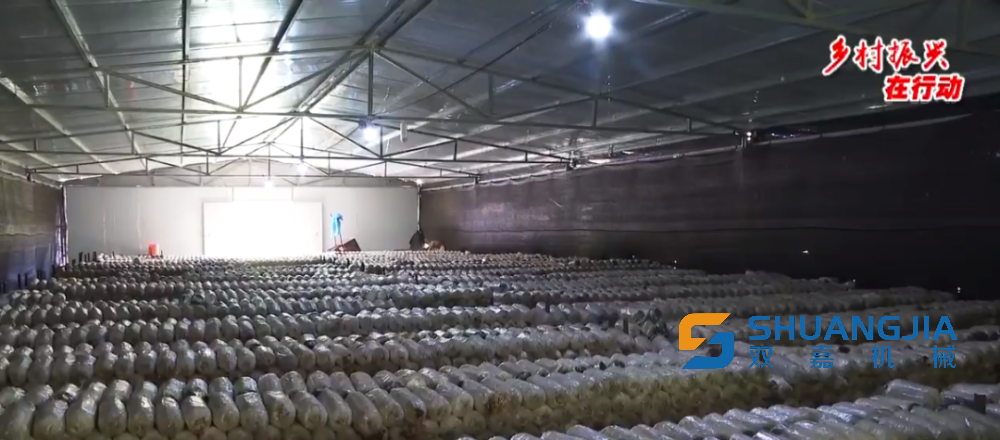 1652579335184906.png 1000 (1).png