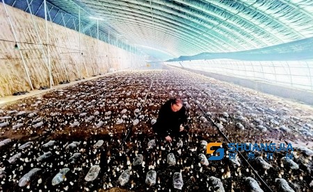 1652579546201791.jpg efa9-9ad3e0795f228677fd7721526635db47.jpg