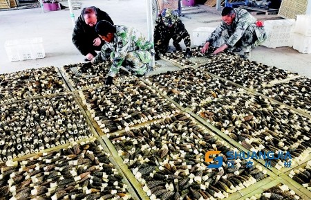 1652579557174821.jpg 6f26-286e41da6fbf01b9def90a4b260e00df.jpg