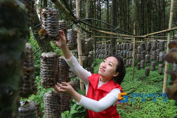 1653012004119399.jpg 11-56-58-24-283825.jpg