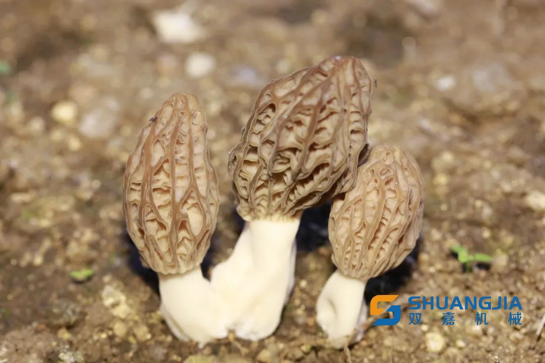 1653012259204849.jpg 14-14-11-56-283825.jpg