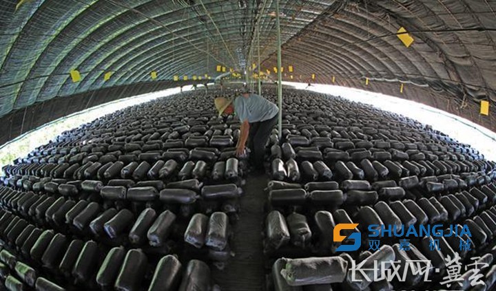 1653266421794653.jpg 1000.jpg