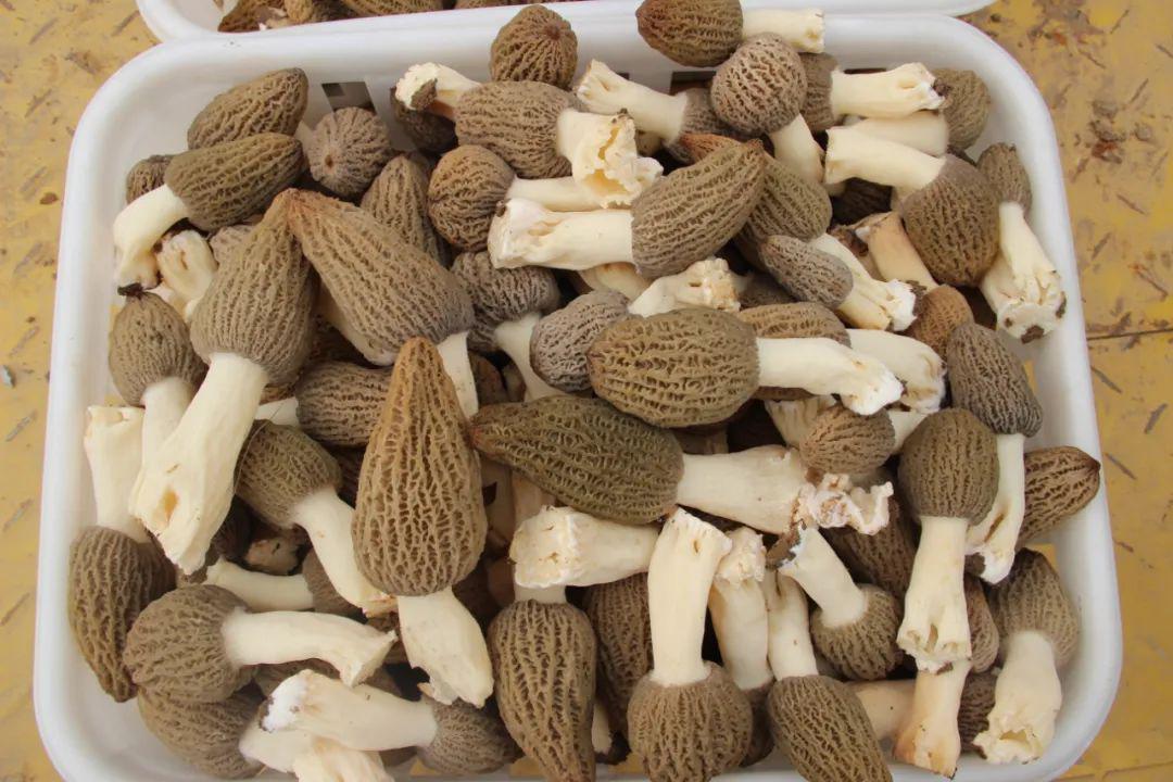 1653292544213006.jpeg 10-35-25-79-283825.jpeg