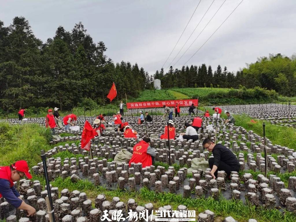 1653359134185747.jpeg 08-53-18-30-283825.jpeg