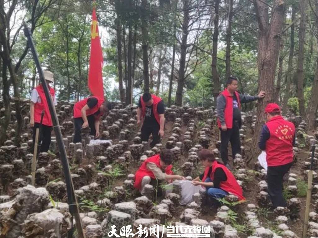 1653359158207613.jpeg 08-53-44-43-283825.jpeg