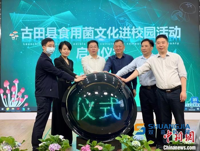 1653702249923737.jpg 1000.jpg