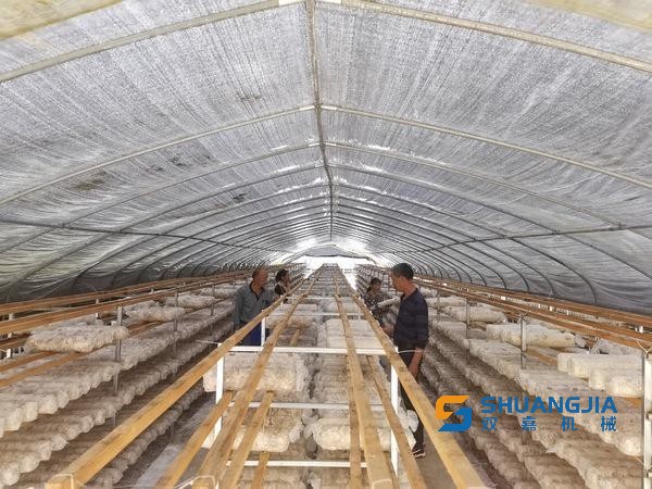 1654304943203807.jpg 下載 (1).jpg