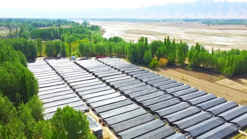 1654739970179372.jpeg 14-24-05-74-283825.jpeg