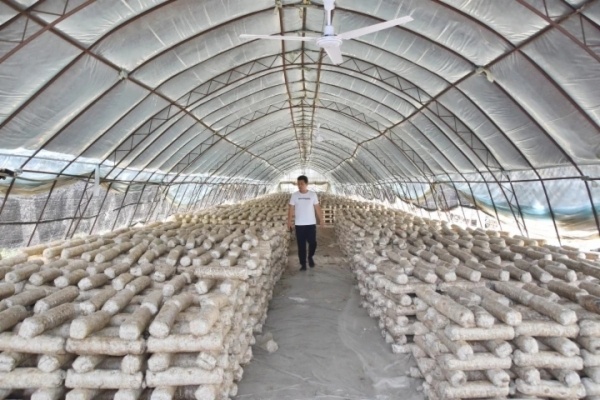 1655007728208692.jpeg 14-29-50-73-283825.jpeg