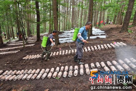 1655257692722717.jpg 15-07-09-18-283825.jpg