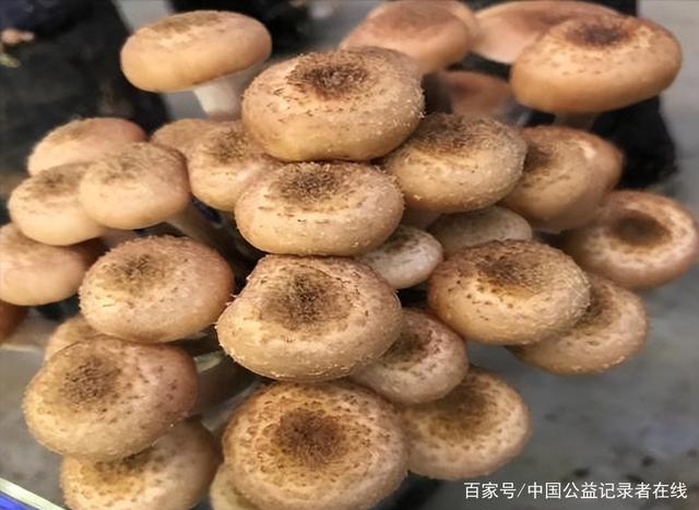 1655257921814314.jpeg 15-27-20-73-283825.jpeg