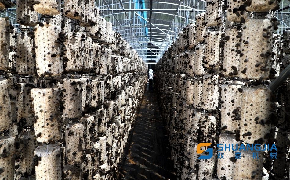 1655774903101243.jpg 08-51-58-41-283825.jpg