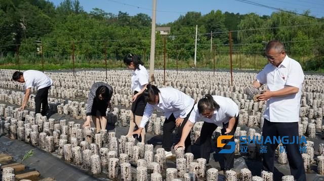 1655801019174137.jpg 14-29-39-96-283825.jpg