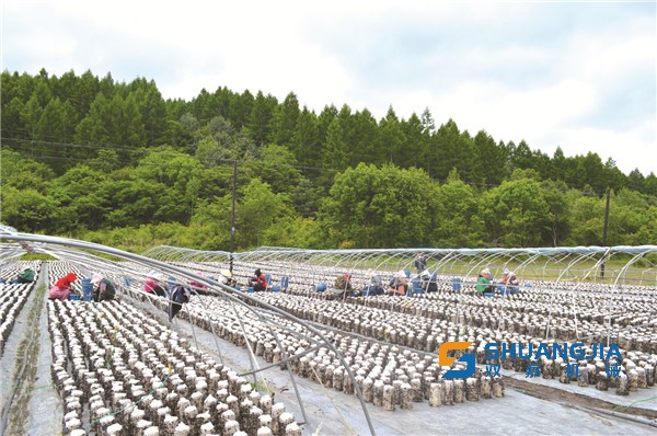 1656552968163079.jpg 10-07-32-60-283825.jpg