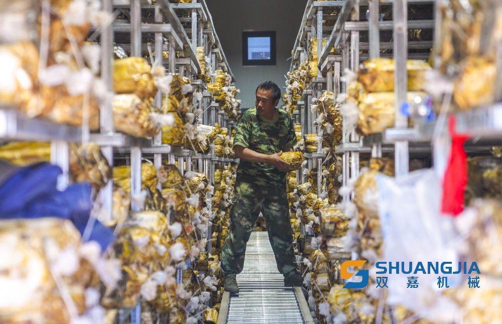 1656637946135733.jpg 15-16-42-56-283825.jpg