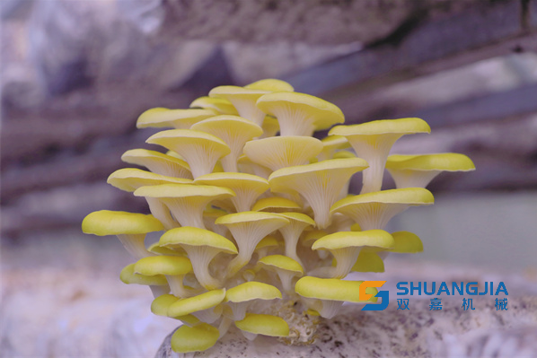 1656814473546817.png 23-23-18-62-283825.png