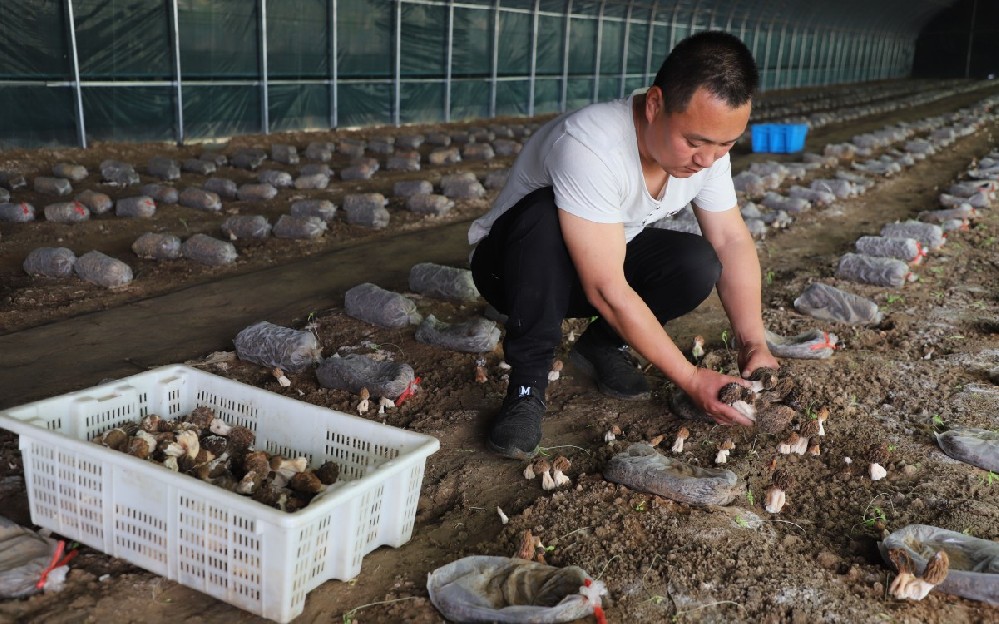 1657081207877921.jpeg 10-15-30-51-283825.jpeg