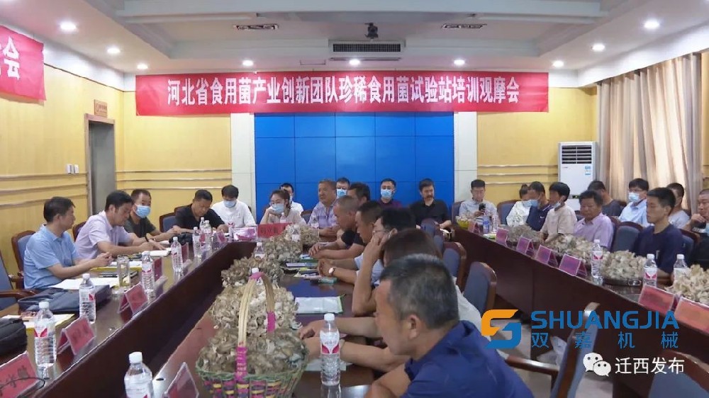 1657939108162444.jpg 99.jpg