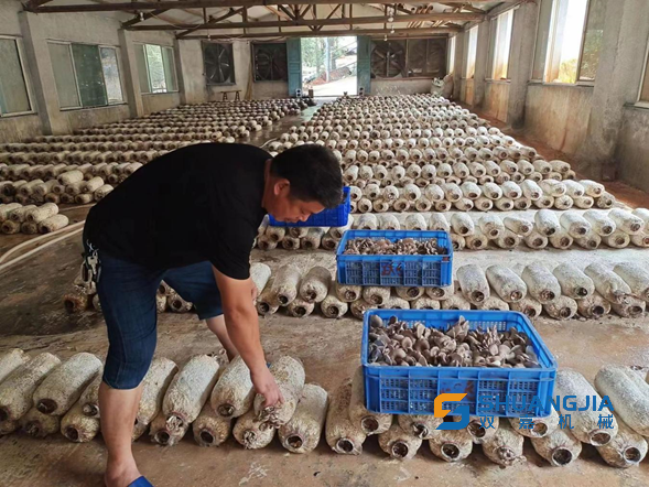 1658111989113968.png 23-07-09-28-283825.png