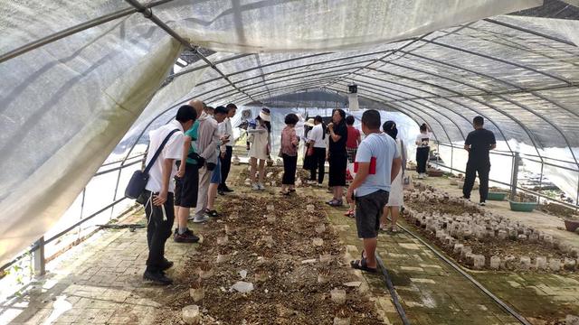 1658367712577460.jpeg 16-12-53-15-283825.jpeg