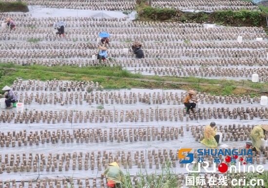 1658540867414617.jpg 09-49-13-42-283825.jpg