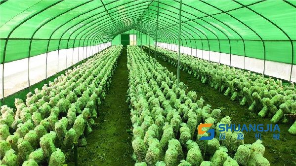 1658886179739214.jpg 09-01-53-30-283825.jpg