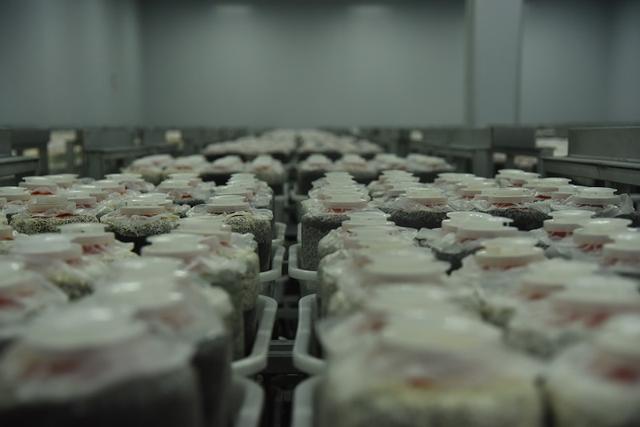 1661135518622915.jpeg 08-53-14-76-283825.jpeg