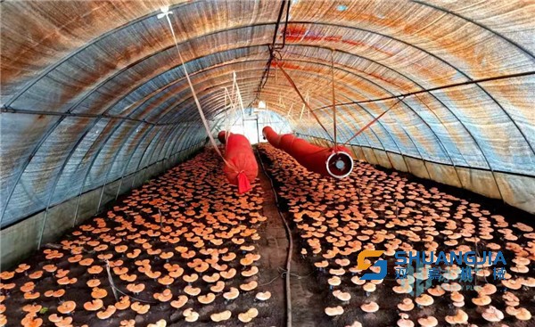 1661233830250652.jpg 10-32-37-58-283825.jpg