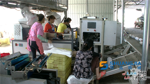 1663474779461726.png 00303568009_20798720.png