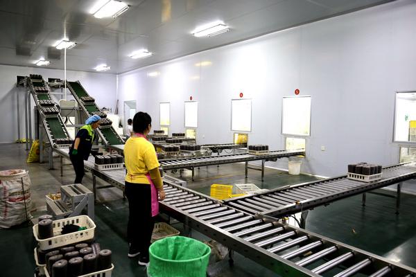 1663680856132071.jpeg 08-42-02-15-283825.jpeg