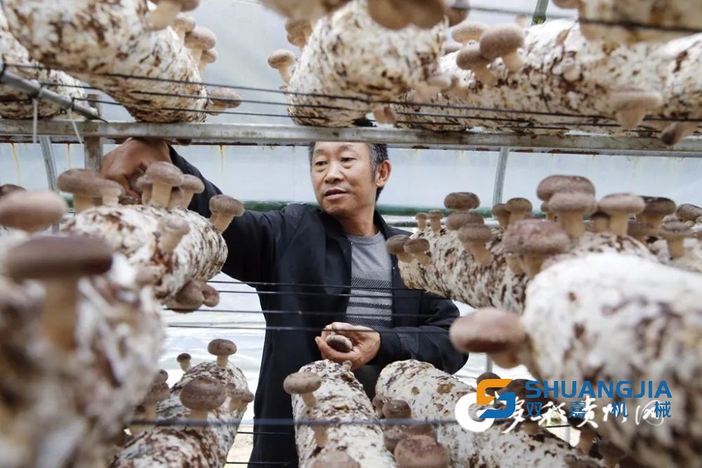 1664758086304116.jpg 1000 (1).jpg