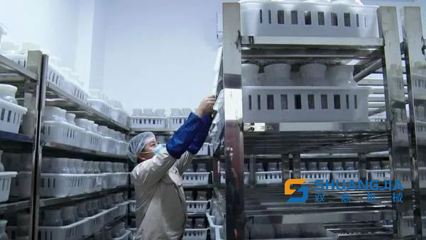 1675158035217052.png 16-18-36-73-283825.png