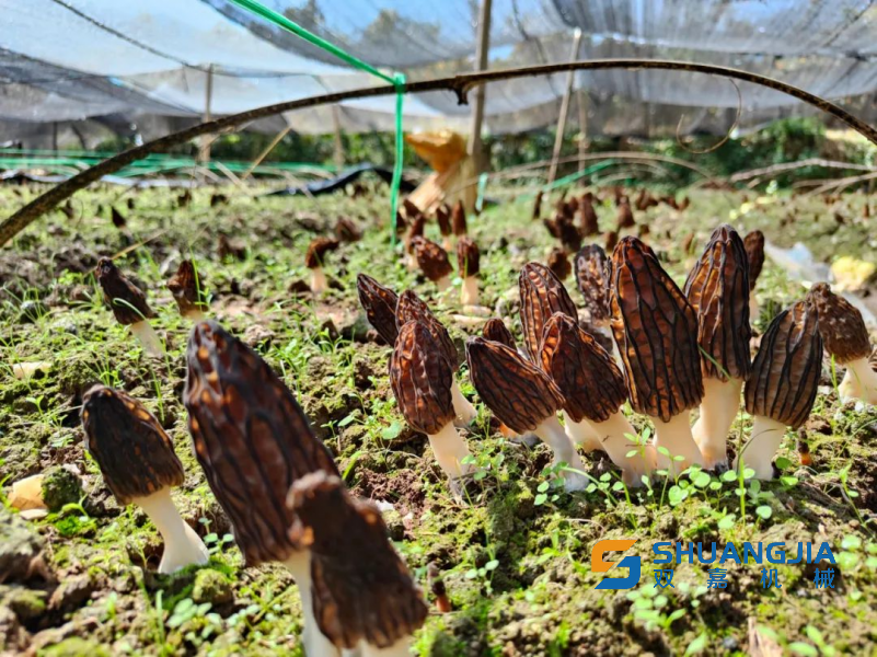 1679154231238087.png 11-22-56-63-451102.png